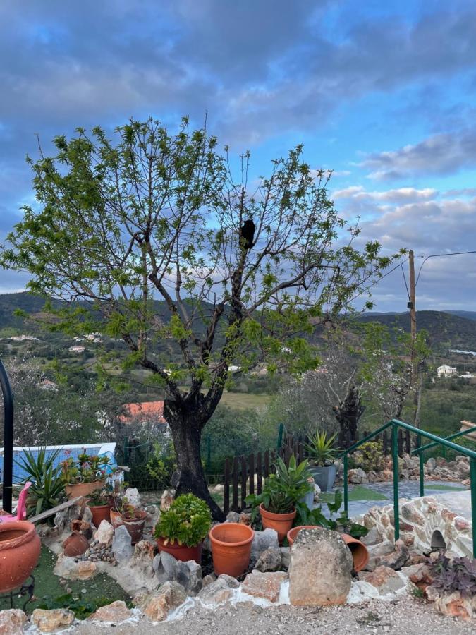 Monte Carrascal Guesthouse Salir Exterior photo
